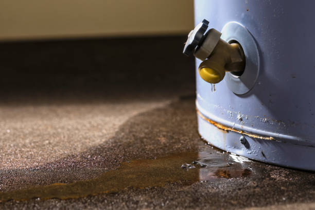 Best Flooded house restoration  in Flourtown, PA