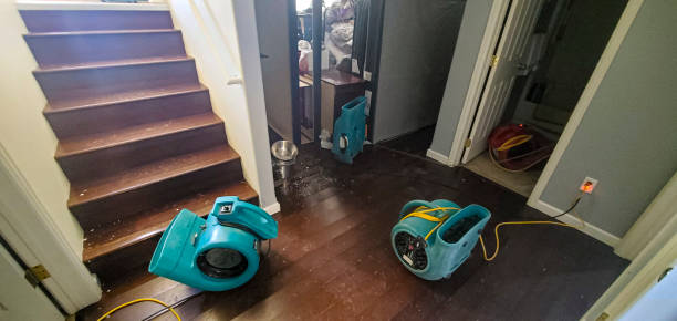 Best Flooded house restoration  in Flourtown, PA