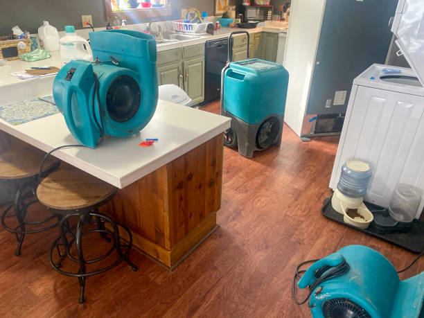 Best Water damage restoration near me  in Flourtown, PA
