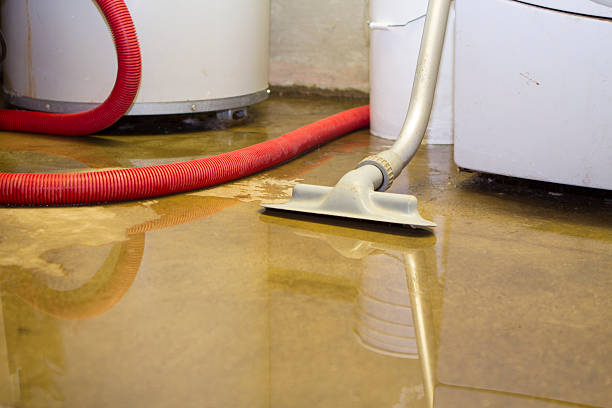 Best Water damage cleanup near me  in Flourtown, PA
