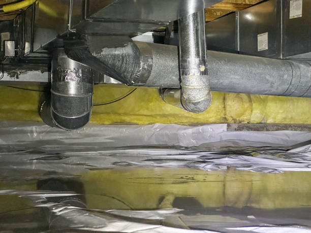 Best Flood damage cleanup  in Flourtown, PA