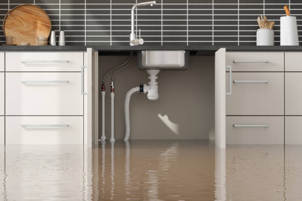 Best Water damage repair service  in Flourtown, PA
