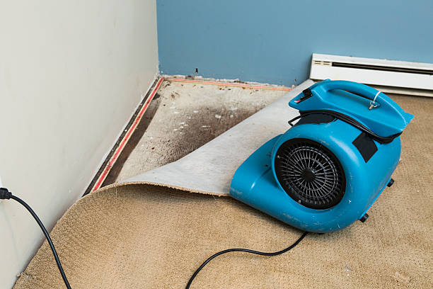 Best 24-hour water damage restoration  in Flourtown, PA